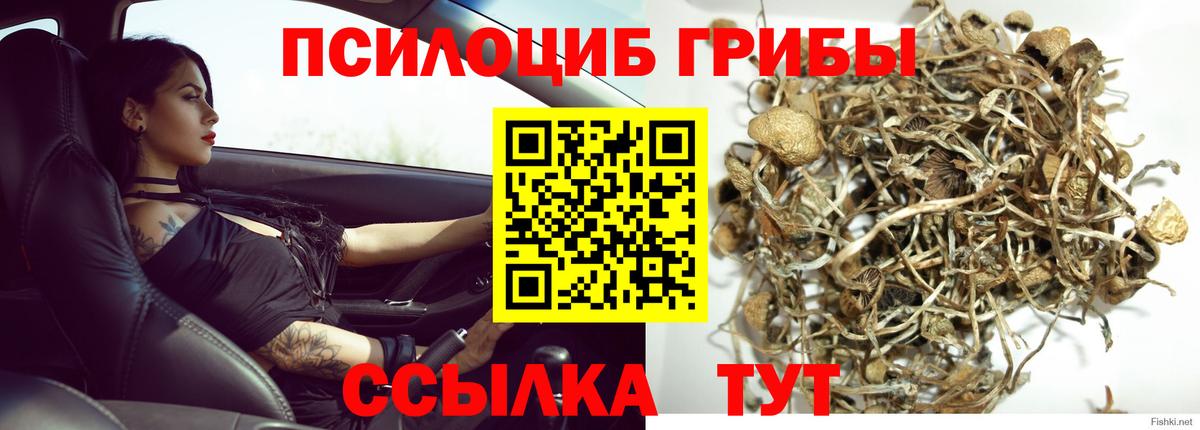 Галлюциногенные грибы Magic Shrooms Пушкино