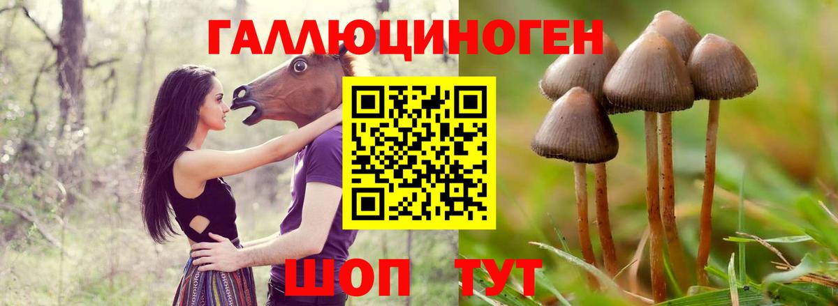 Пушкино  Псилоцибиновые грибы Psilocybine cubensis  Галлюциногенные грибы MAGIC MUSHROOMS  Вход с VPN 